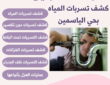 شركة كشف تسربات المياه بحي الياسمين