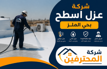 افضل شركة عزل اسطح بحي الملز