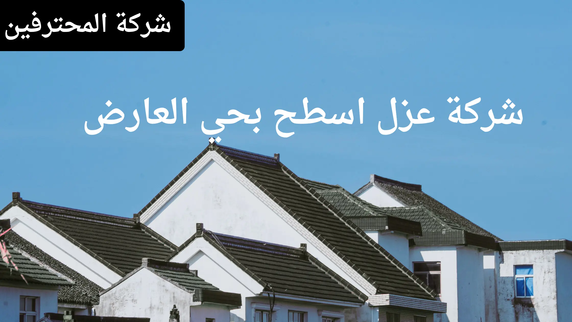 افضل شركة عزل اسطح بحي العارض
